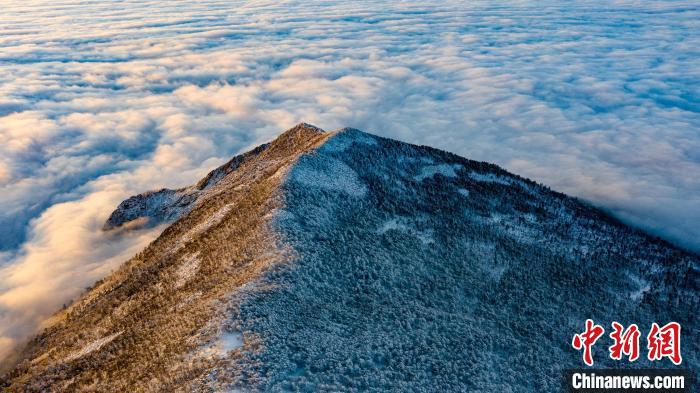 圖為朱雀國家森林公園內(nèi)初冬雪景?！≈烊竾疑止珗@供圖