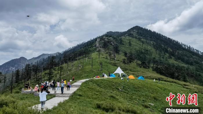 圖為游人在秦嶺山間踏青?！≈烊竾?guó)家森林公園供圖