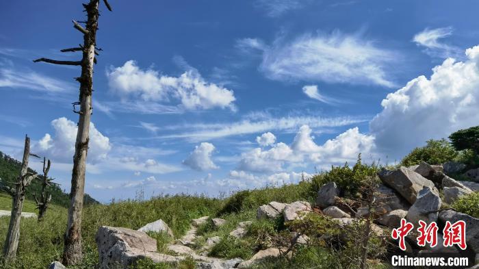 圖為秦嶺山間一景?！≈烊竾?guó)家森林公園供圖