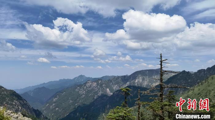 圖為綿延的秦嶺山巒?！≈烊竾?guó)家森林公園供圖