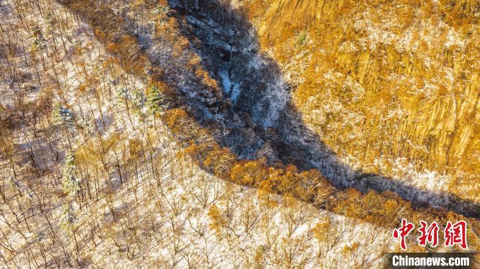 圖為秦嶺山間?！√絿?guó)家森林公園供圖