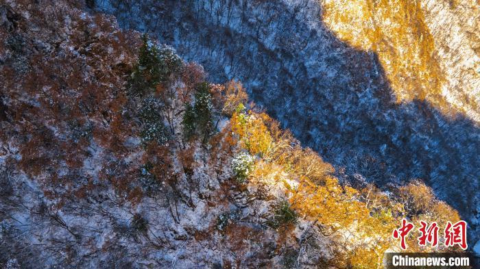圖為金色晨光“綴”崖間。　太平國(guó)家森林公園供圖