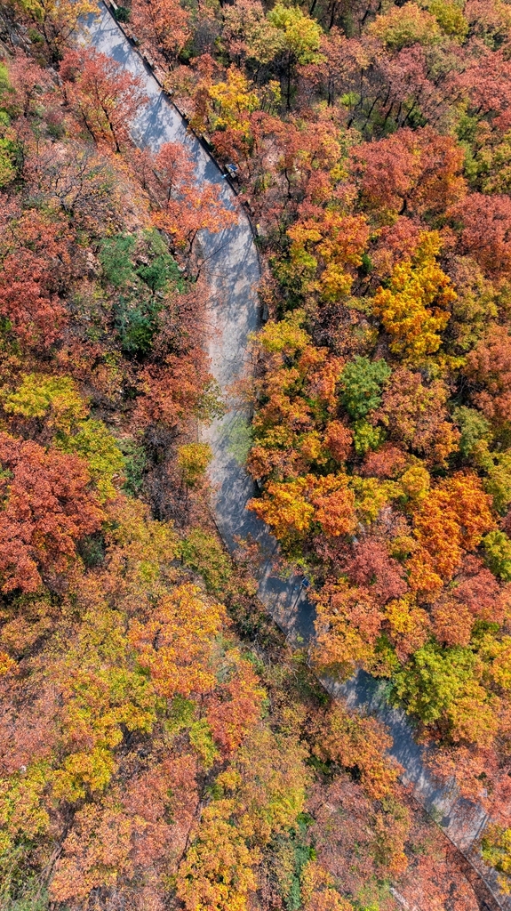“瞰見秦嶺 詩畫終南”媒體景區(qū)行活動 邂逅南五臺秋韻
